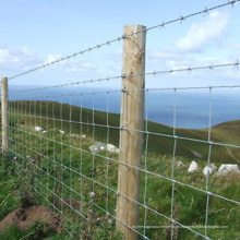 Feuerverzinktes Scharnier Joint Cattle Fence